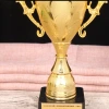 Wholesale of Kaihang plastic trophies, school training sports meeting competitions, electroplated covered MEDALS, morning glory MEDALS and decorations Specification image